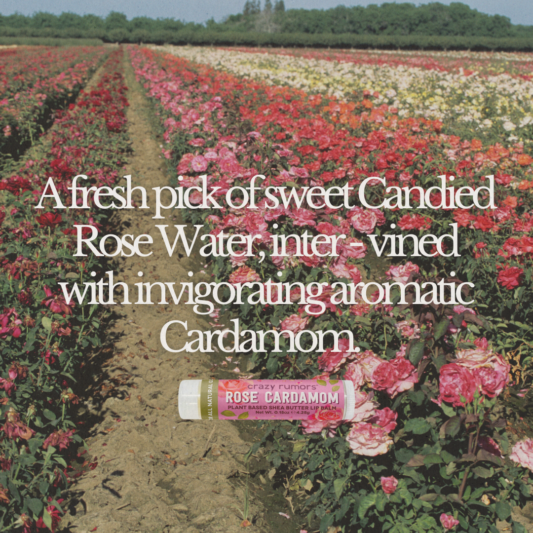 Rose Cardamom Lip Balm – Crazy Rumors
